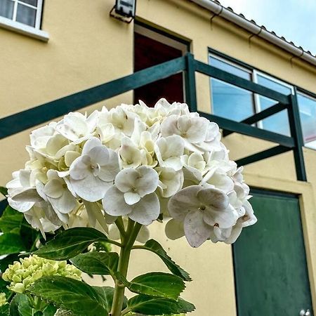 Luana House Daire Biscoitos  Dış mekan fotoğraf