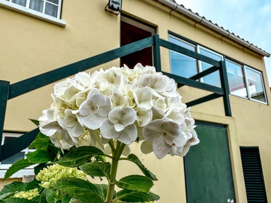 Luana House Daire Biscoitos  Dış mekan fotoğraf